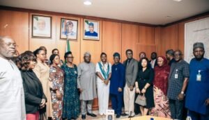 Supply-Of-Electricity-To-Nigerians